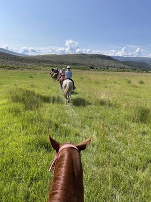 Collective Vail - a Retreat at 4 Eagle Ranch by null