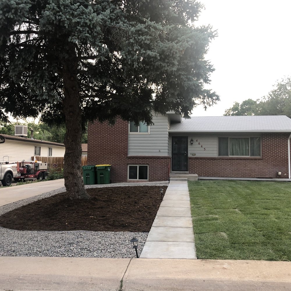Natural Landscaping and Design - Removed juniper bush and yucca plants in the front and extended the front porch; mulch and rock under the tree; sod; new front walkway. - Landscape Architects or Designers Near Me - Aurora, Colorado Natural Landscaping and Design - Removed juniper bush and yucca plants in the front and extended the front porch; mulch and rock under the tree; sod; new front walkway. - Landscape Architects or Designers Near Me - Aurora, Colorado