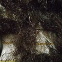 This is hoe bad the hair from Maneman sheded