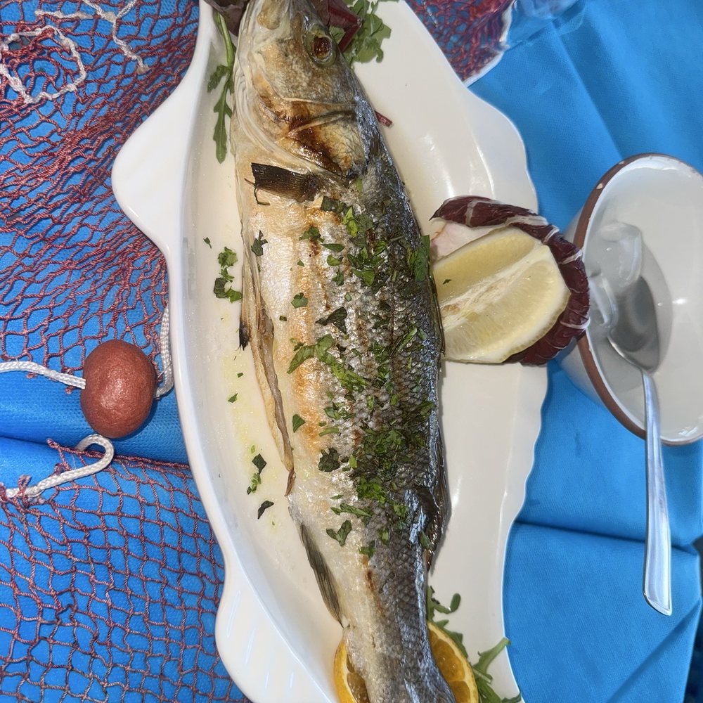 O'Puledrone - Seabass - Italian Near Me - Sorrento, NA O'Puledrone - Seabass - Italian Near Me - Sorrento, NA