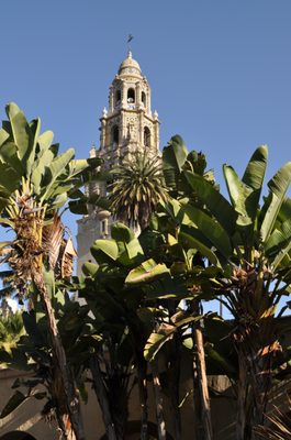 Alcázar Garden by null