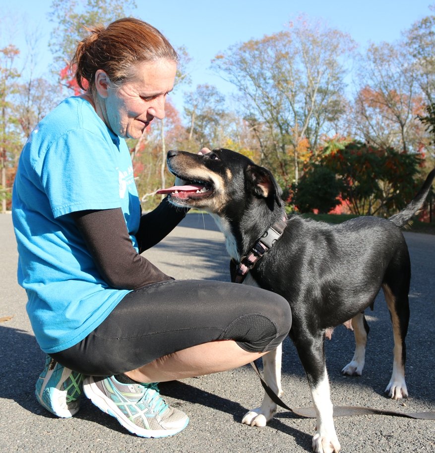 Cape Ann Animal Aid Image