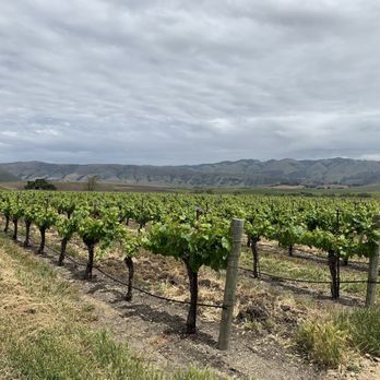 Biddle Ranch Vineyard - Vineyard - Wineries Near Me - San Luis Obispo, California Biddle Ranch Vineyard - Vineyard - Wineries Near Me - San Luis Obispo, California