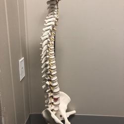 Devita Chiropractic Office