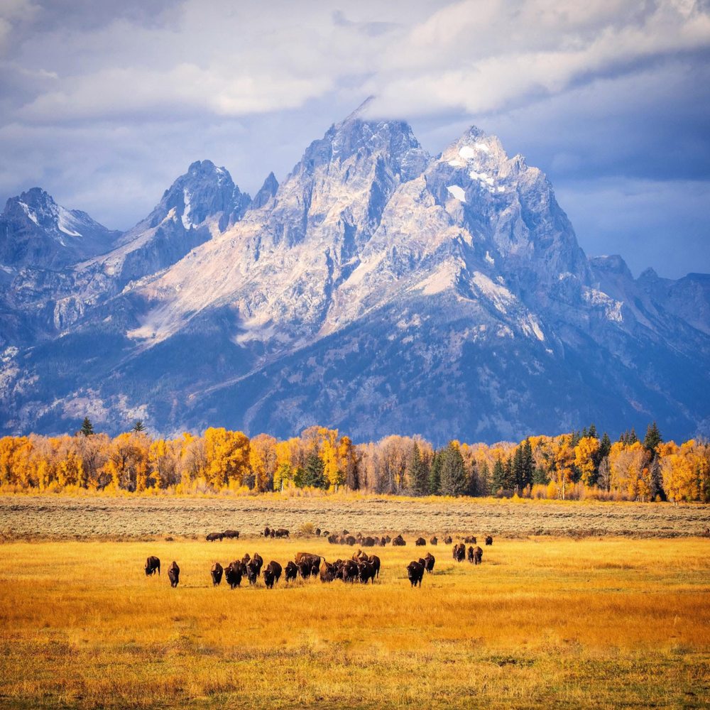 Yellowstone Day Tours - Tours Near Me Yellowstone Day Tours - Tours Near Me