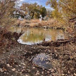 Ambrose Carson River Natural Area