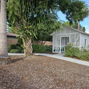 Teuchert Park - Look at that passion fruit - Parks Near Me - Lomita, California Teuchert Park - Look at that passion fruit - Parks Near Me - Lomita, California