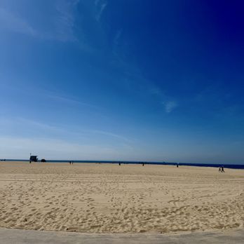 Venice Beach - Beaches Near Me Venice Beach - Beaches Near Me