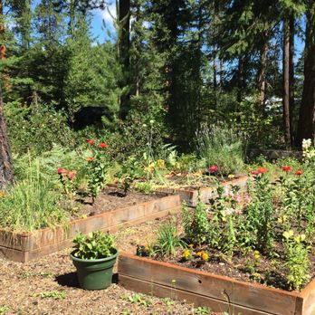 Natapoc Lodging - Little cute flower garden next to the cabin(lupine manor) - Guest Houses Near Me - Leavenworth, Washington