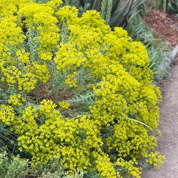 Gamble Garden - Venues & Event Spaces Near Me - Palo Alto, California