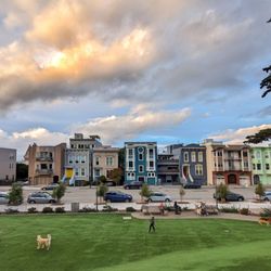 Francisco Park - Dog play area of the park. Facing Bay St