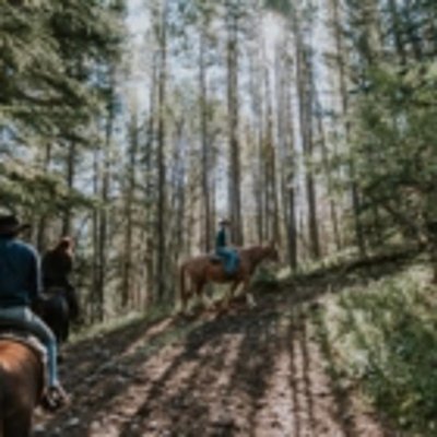 Boundary Ranch by null