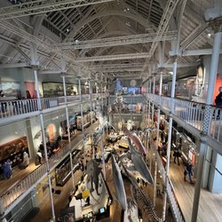 National Museum of Scotland - Great layouts