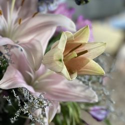 Pennsburg Petals