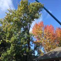 Easy Does It Tree Service