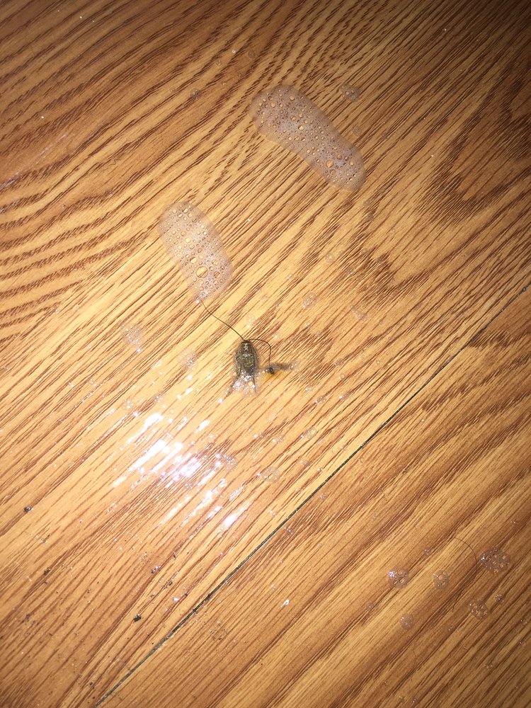 URBAN PHENIX 53 Photos & 58 Reviews 4701 E Mississippi Ave