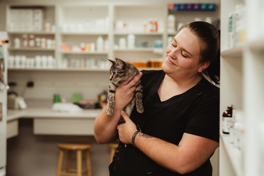 THE VETERINARY CLINIC, PC Updated August 2024 2504 W Burlington Ave, Fairfield, Iowa