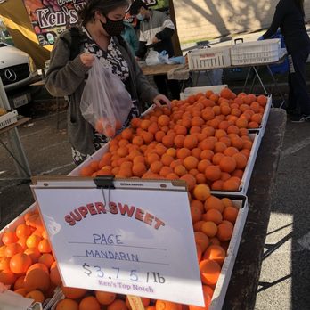 Pasadena Farmers Market - Delicious!! Woman said pick softer ones with thin skin for juiciest mandarins. (Jan 2024) - Farmers Market Near Me - Pasadena, California Pasadena Farmers Market - Delicious!! Woman said pick softer ones with thin skin for juiciest mandarins. (Jan 2024) - Farmers Market Near Me - Pasadena, California