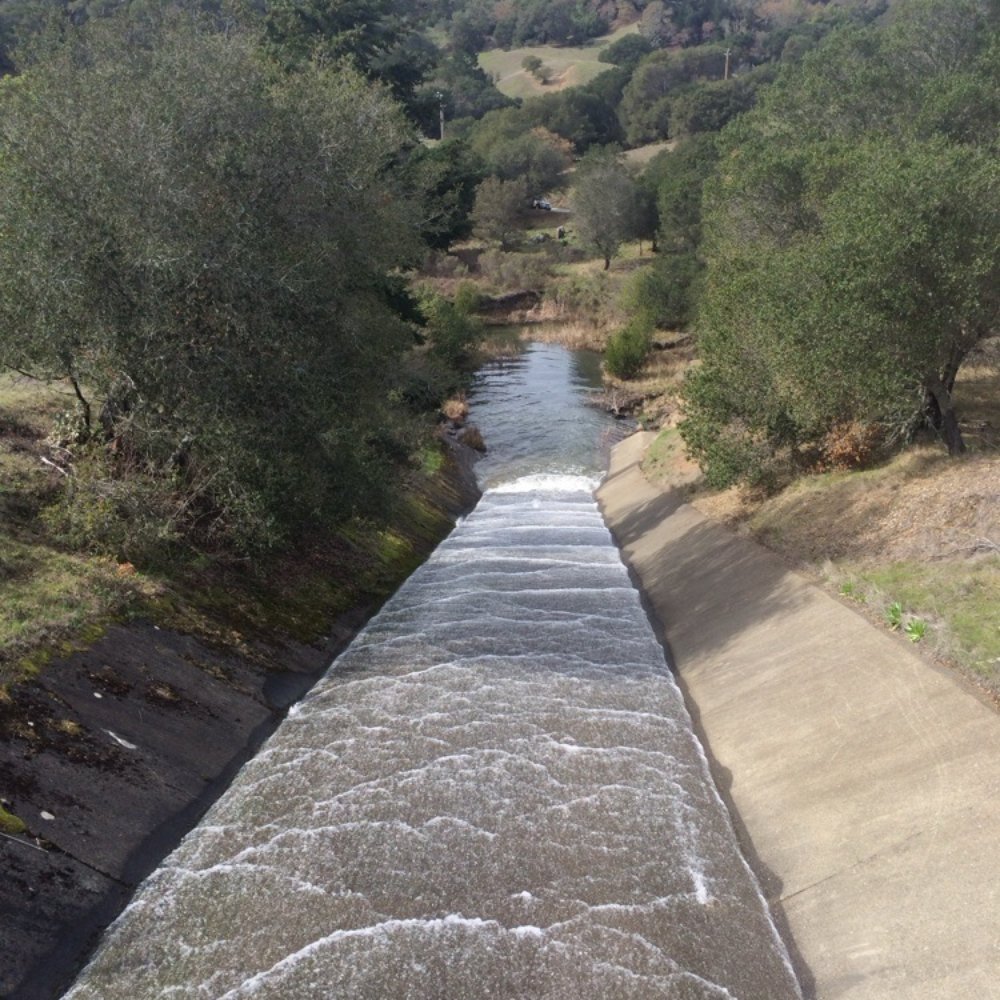 Bon Tempe Lake - Hiking Near Me - Fairfax, California