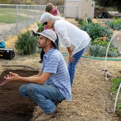 Thrive and Grow Gardens