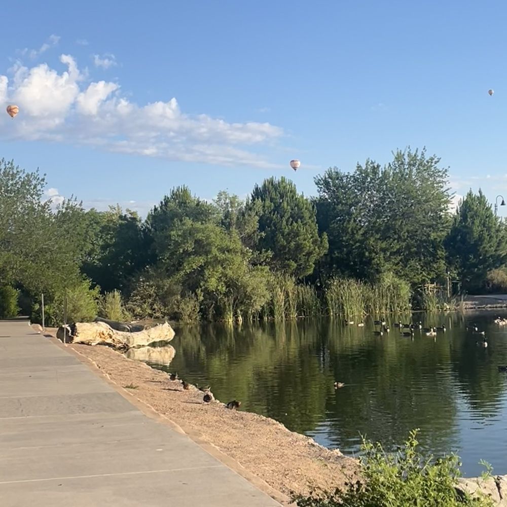 Tingley Beach - 7am on a Tuesday. - Beaches Near Me - Albuquerque, New Mexico Tingley Beach - 7am on a Tuesday. - Beaches Near Me - Albuquerque, New Mexico