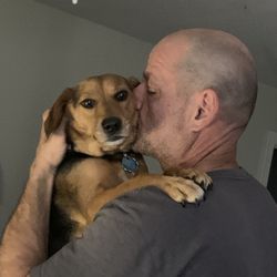Triangle Pet Sitters - Jason loving on Raven, who was born here and is a frequent client.
