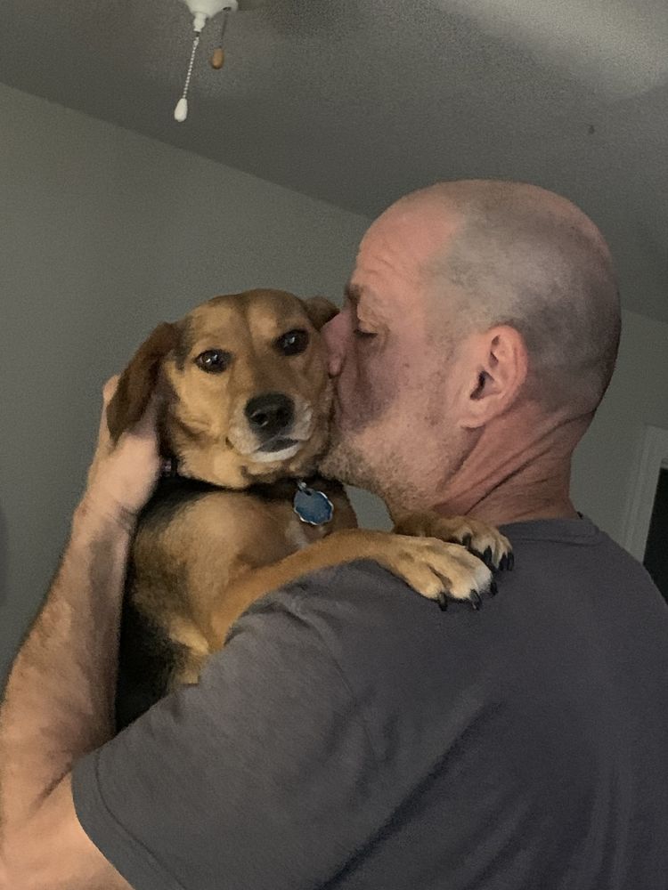 Triangle Pet Sitters - pet boarding facility in Raleigh, NC