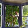 Photo of carlos window cleaning