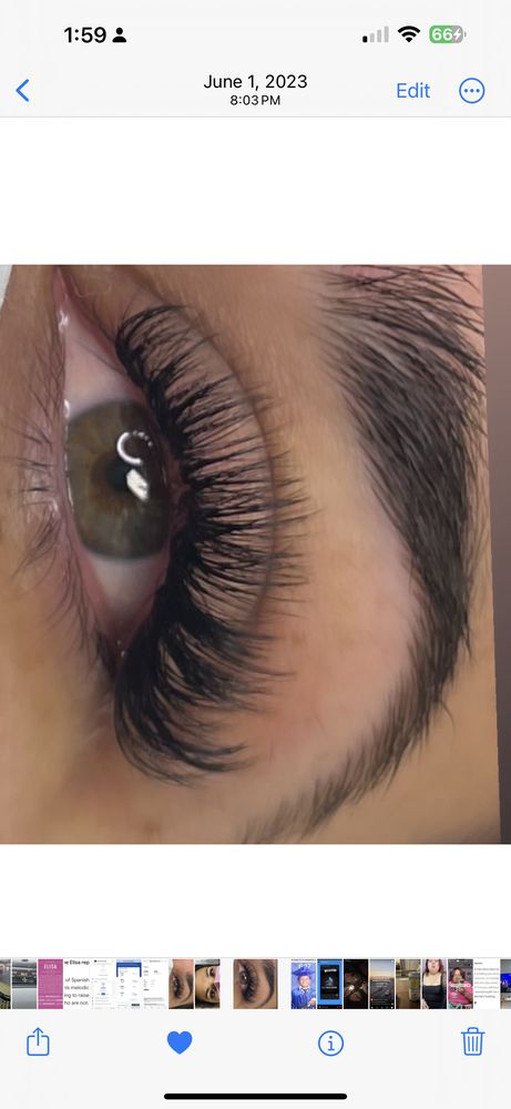 Lash Lounge Beauty Bar Logo