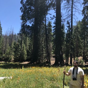 Trail of 100 Giants - Yellow prairie - Hiking Near Me - Springville, California Trail of 100 Giants - Yellow prairie - Hiking Near Me - Springville, California