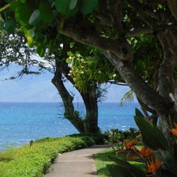 Napili Point Resort Rentals - Beautiful view from one of our oceanfront walkways and a majestic view of the island of Molokai in the distance!