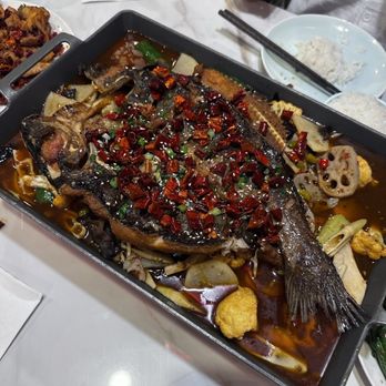 Tasty Szechuan - Spicy grilled fish, kao yu - Noodles Near Me - Concord, California Tasty Szechuan - Spicy grilled fish, kao yu - Noodles Near Me - Concord, California
