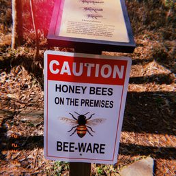 Caution: beez Caution: beez