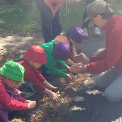 Haytown Nursery School - The Haytown Olders class busy at work planting seedlings in the Whittemore wildlife Sanctuary garden.