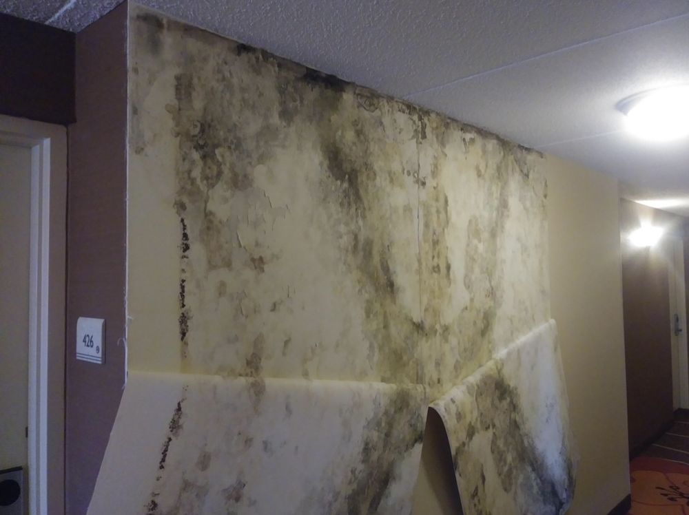 Slide of Malcolm of All Trades