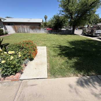 Exterior Solutions Lawn and Landscape - Front yard - Lawn Services Near Me - Turlock, California Exterior Solutions Lawn and Landscape - Front yard - Lawn Services Near Me - Turlock, California
