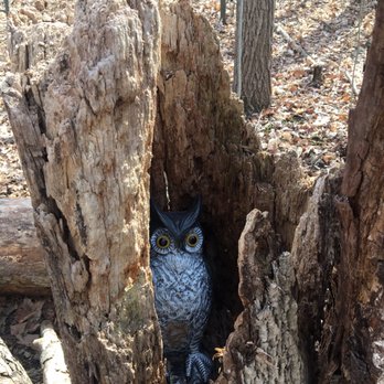 Maybury State Park - Geocache! - Parks Near Me - Northville, Michigan