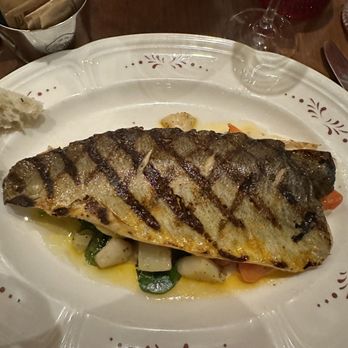 Sfoglina Van Ness - Grilled rainbow trout - Italian Near Me - Washington, DC, District of Columbia Sfoglina Van Ness - Grilled rainbow trout - Italian Near Me - Washington, DC, District of Columbia