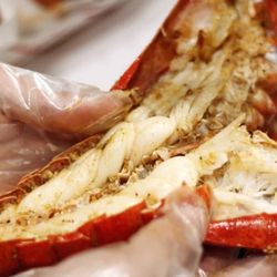 Shaking Seafood - Fresh Lobster everyday !!