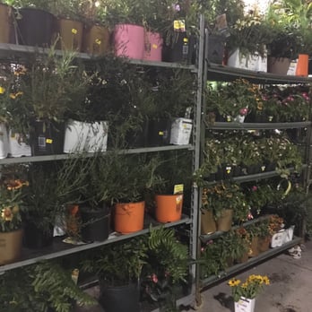 Lowe's Home Improvement - Yellow tag sale!! - Hardware Stores Near Me - Hialeah, Florida