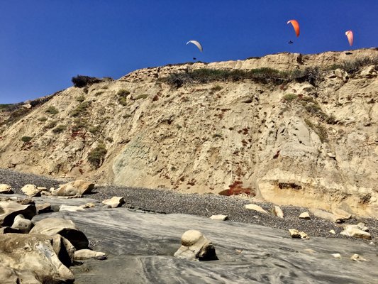Black's Beach by null
