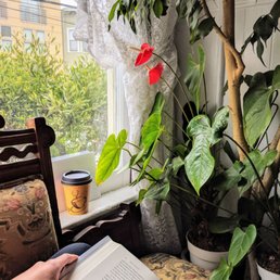 Window couch Window couch