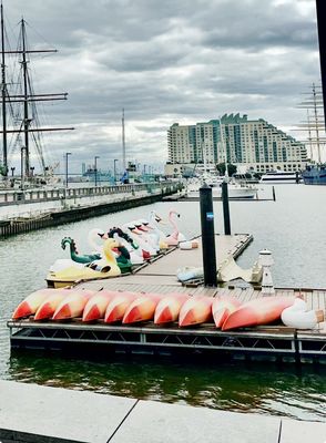 Penn's Landing by null