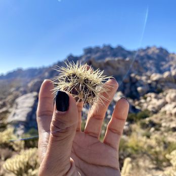 Mojave National Preserve - Parks Near Me - Kelso, California