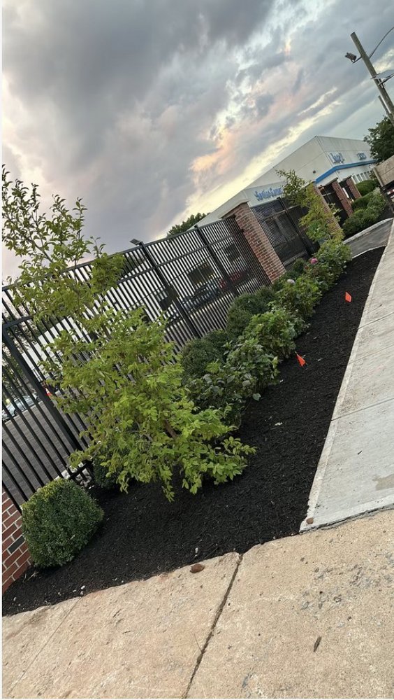 Slide of ELS Project Management