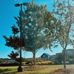 Lowe's Outlet - Morrow