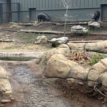 Greensboro Science Center - Zoos Near Me - Greensboro, North Carolina Greensboro Science Center - Zoos Near Me - Greensboro, North Carolina