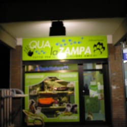 Qua La Zampa