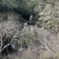Fairfax Open Space Preserve