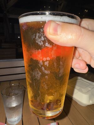 Sea Dog Brewing Co. by null